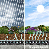 Green roofs retain rainwater